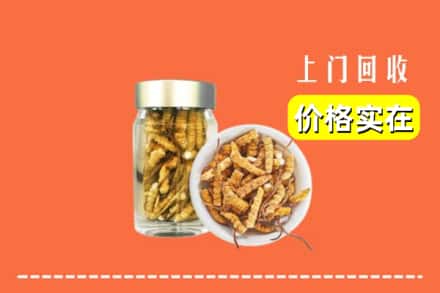 收购资讯:九江市都昌回收散虫草