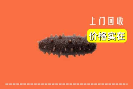 收购资讯:九江市都昌回收海参