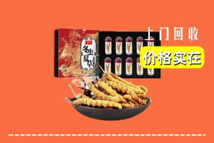 九江市都昌回收虫草
